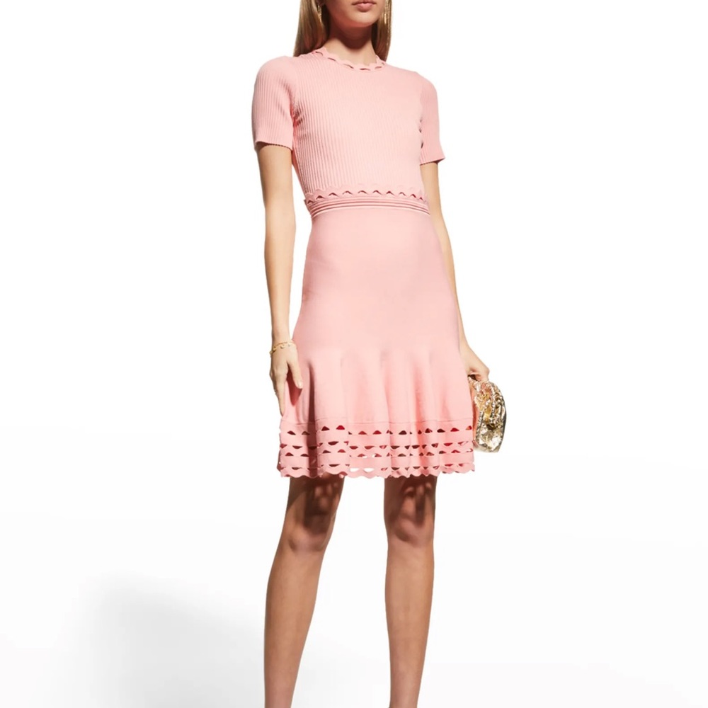 Gemma dress- rib knit, fit and flare, pink mini dress. Shoshanna